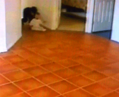 fd5ffd4d7abcc2da3bc8d1637765b0f0.gif