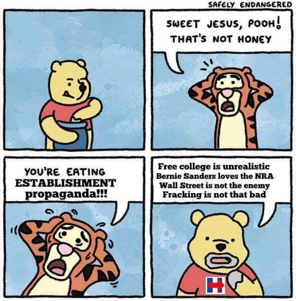 sweet jesus pooh that's no honey, you're eating establishment propaganda, free college is unrealistic, bernie sanders loves the nra, wall street is not the enemy, fracking is not that bad