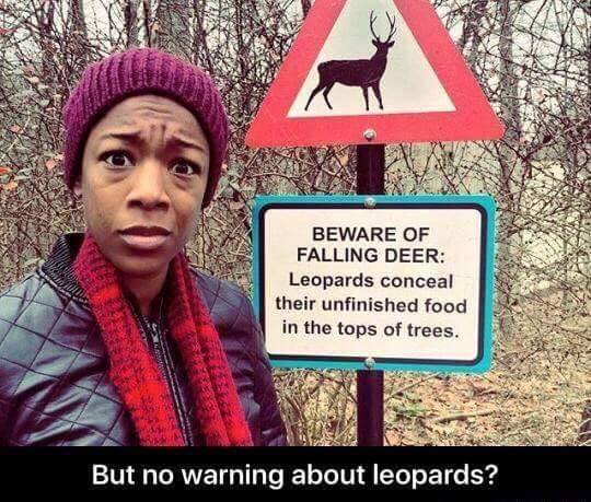 beware of falling deer, leopards conceal their unfinished food in the tops of trees, but no warning about leopards?