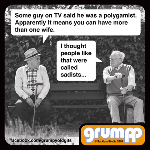 some guy on tv said he was a polygamist, apparently it means you can have more than one wife, i thought people like that were called sadists