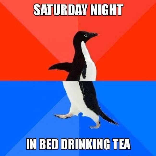 saturday night, in bed drinking tea, socially awkward penguin, meme