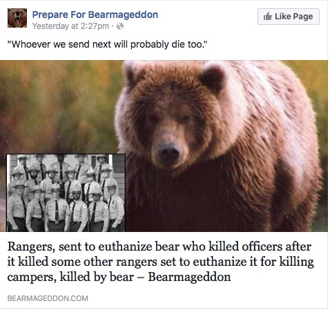 rangers, sent to euthanize bear who killed officers after it killed some other rangers set to euthanize it for killing campers, killed by bear, bearmedgeddon, whoever we send next will probably die too
