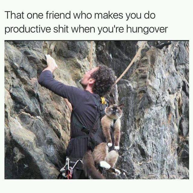 that one friend who makes you do productive shit when you're hungover