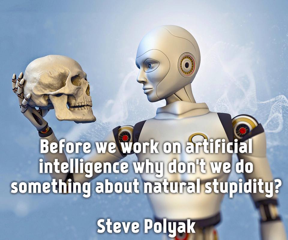 because we work on artificial intelligence, why don't we do something about natural stupidity