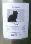 reward for eddie, will give this cat to whoever eturns my car keys, lost here last thursday