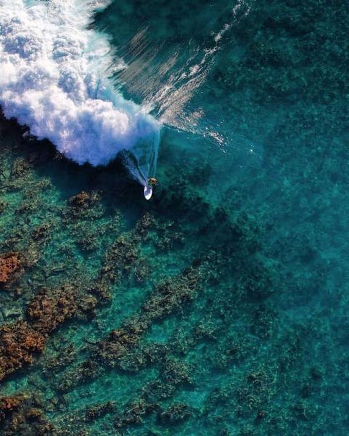 surfing a clear wave over the reef from above