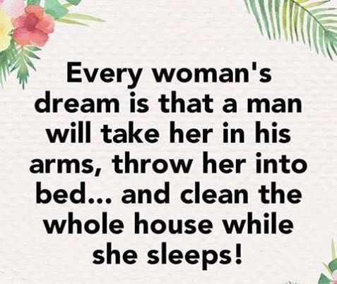 every woman's dream is that a man will take her in his arms, throw her into bed, and clean the house while she sleeps