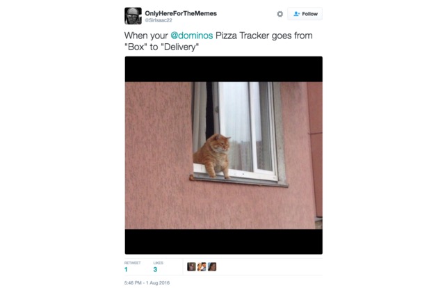 when your @dominos pizza tracker goes from box to delivery, fat cat hanging out of window
