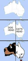 australia is just a dog and a cat's head