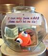 i can only swim in $$$, please don't let me die!, tip jar