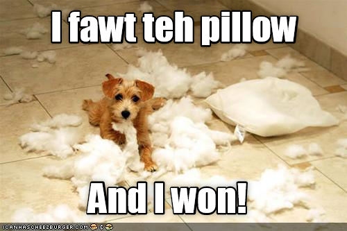 i fought the pillow and i won, puppy destroys pillow