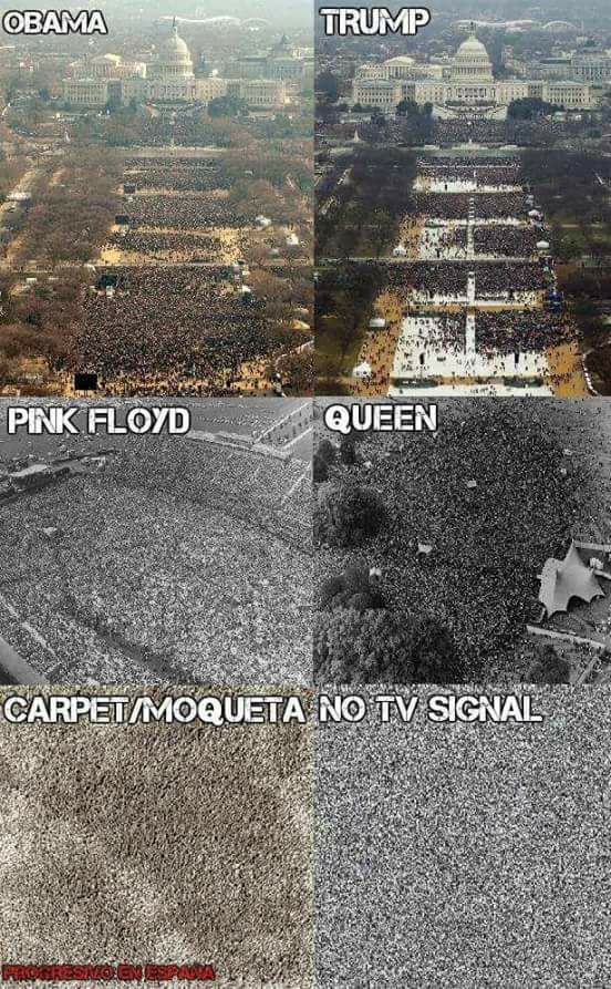 obama, trump, pink floyd, queen, carpet, no tv signal
