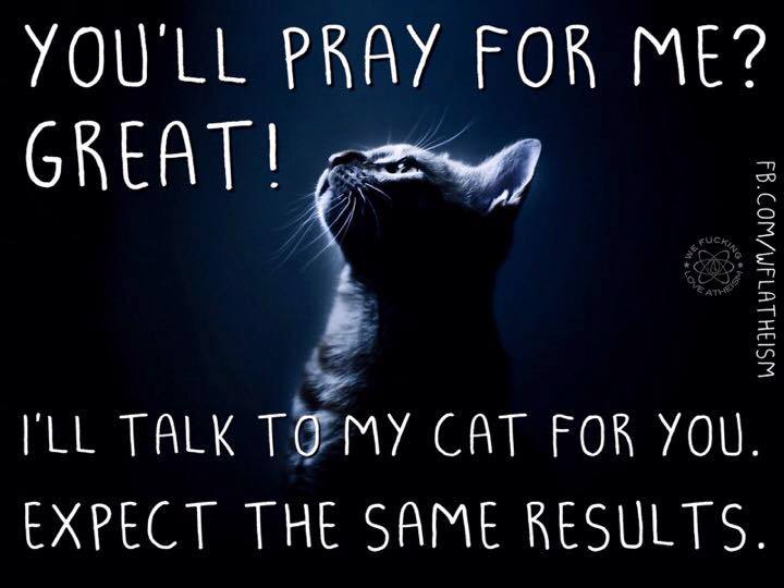 you'll pray for me?, great!, i'll talk to my cat for you, expect the same results