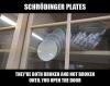 schrodinger plates, they are both broken and not broken until you open that door