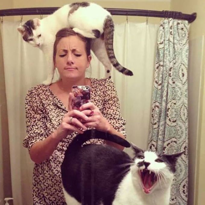 cat lady takes selfie