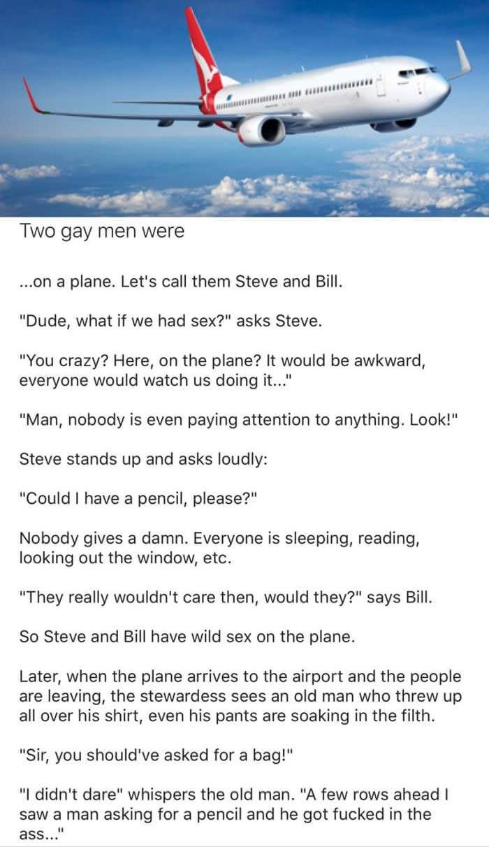 two gay men were on a plane, let's call them steve and bill, joke