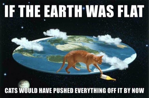 should i have a baby?if the earth was flat, cats would have pushed everything off it by now