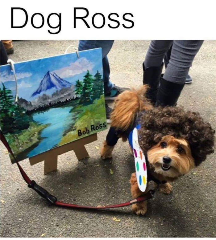 dog ross