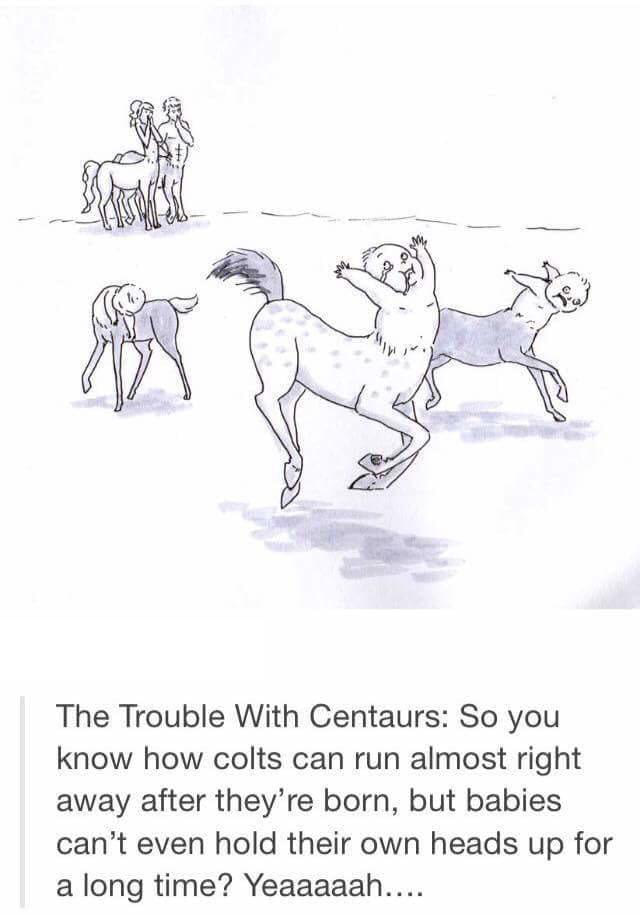 the trouble with centaurs, so you know how colts can run almost right away after they're born, but babies can't even hold their own heads up for a long time?, yeaaahh