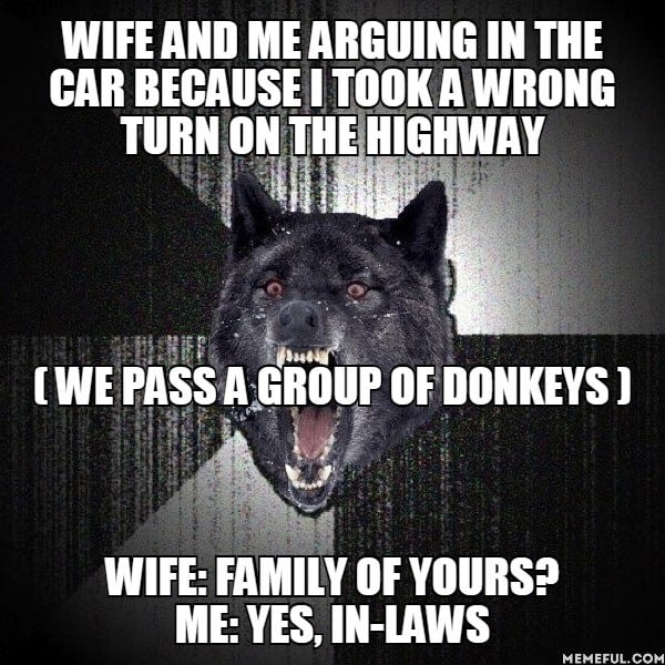 wife and me arguing in the car because i took a wrong turn, we pass a group of donkeys, family of yours?, yes, in laws, meme