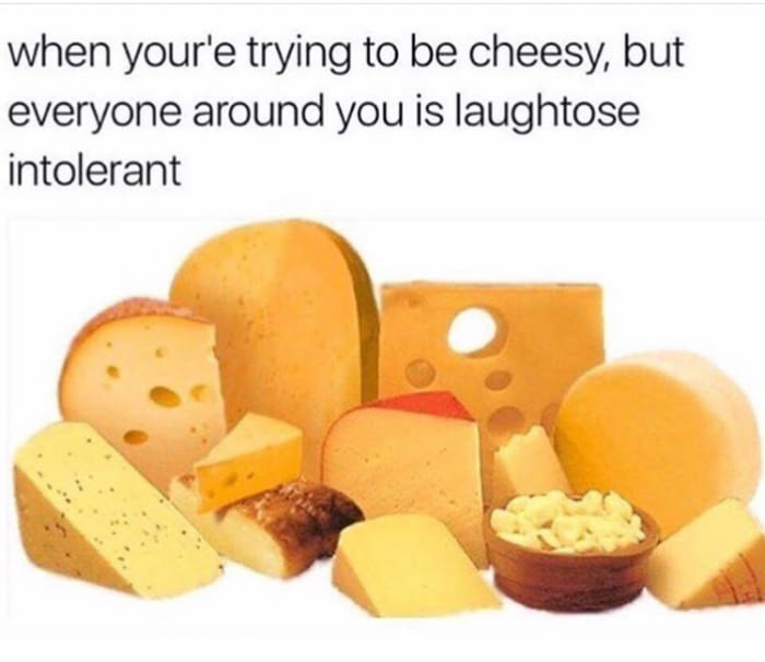 when you're trying to be cheesy but everyone around you is laughtose intolerant