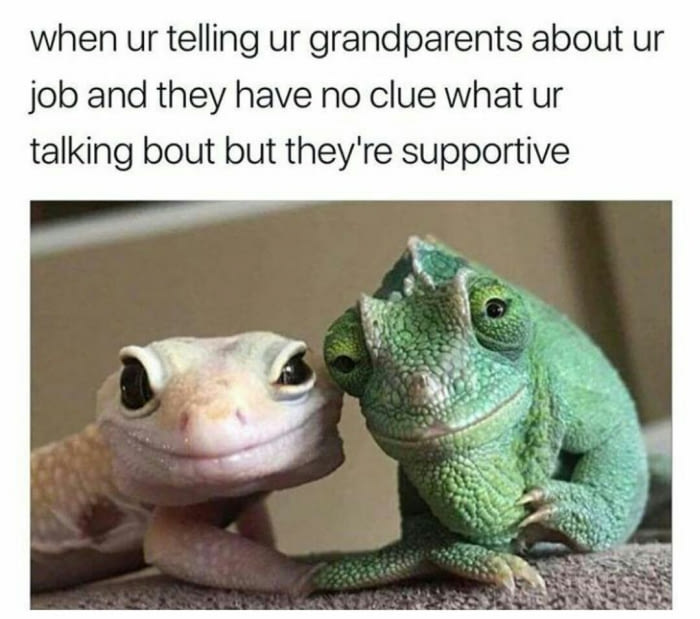 when you're telling your grandparents about your job and they have no clue what you're talking about but they're supportive