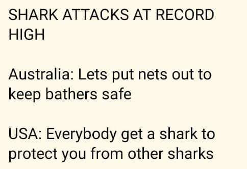 shark attacks at record high, australia, let's put nets out to keep bathers safe, usa, everybody gets a shark to protect you from other sharks