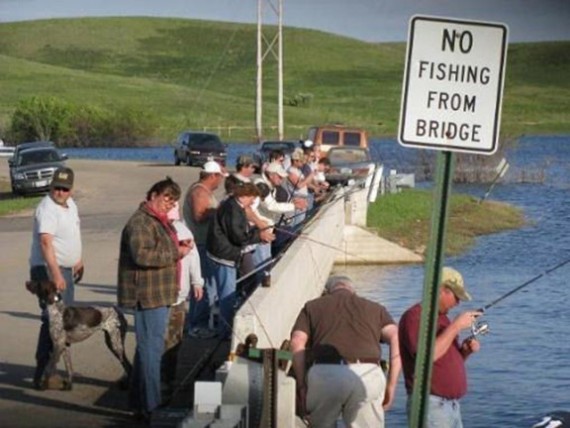 no fishing from bridge, everyone fishing from bridge, rebels