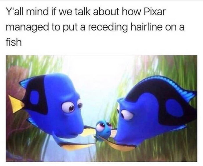 y; all mind if we talk about how pixar managed to put a receding hairline on a fish