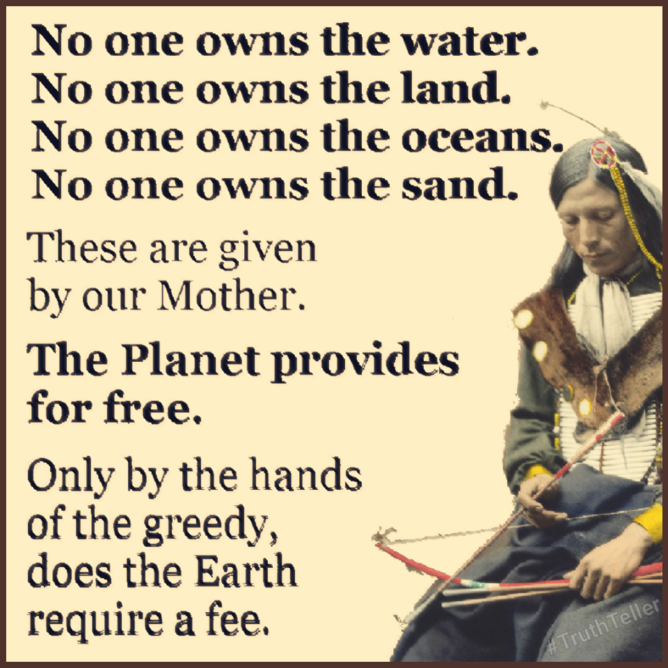no one owns the water, no one owns the land, no one owns the oceans, no one owns the sand, these are given by our mother, the planet provides for free, only by the hands of the greedy does the earth require a fee