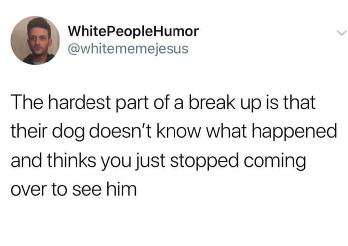 the hardest part of a break up is that their dog doesn't know what happened and thinks you just stopped coming to see him
