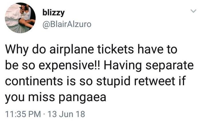 why do airplane tickets have to be so expensive, having separate continents is so stupid between if you miss pangea