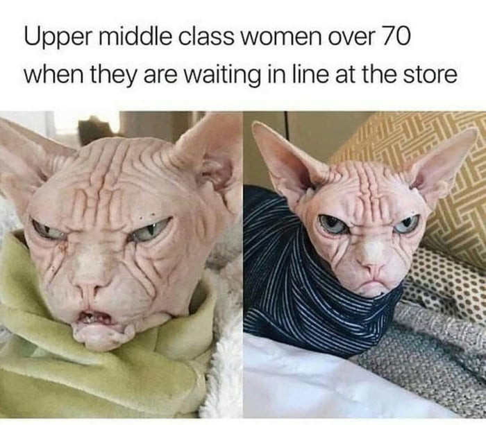 upper middle class women over 70 when they are waiting in line at the store