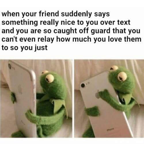 when your friend suddenly says something really nice to you over text and you are so caught off guard that you can't even relay how much you love them to so you just, hug your phone, kermit