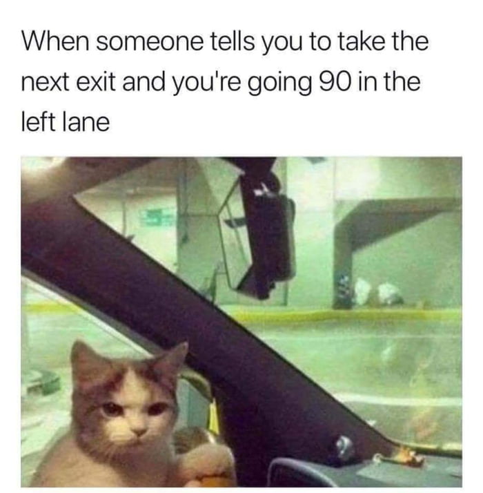 when someone tells you to take the next exist and you're going 90 in the left lane, cat, meme