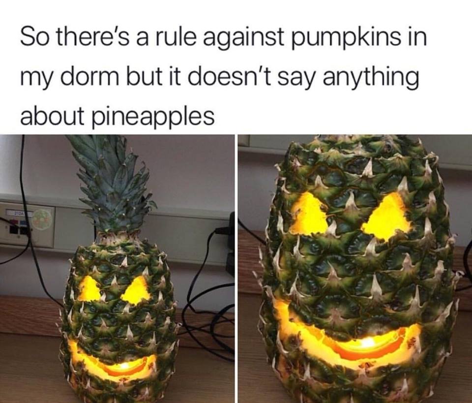 so there's a rule against pumpkins in my dowm but it doesn't say anything about pineapples