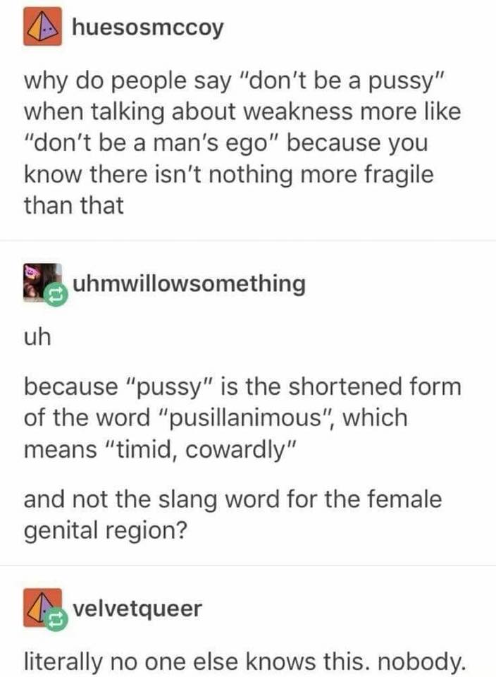 pussy is the shortened form of the word pusillanimous, which means timid, cowardly, and not the slang for the female genital region