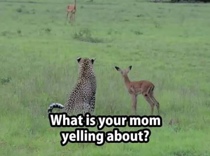 what is your mom yelling about?