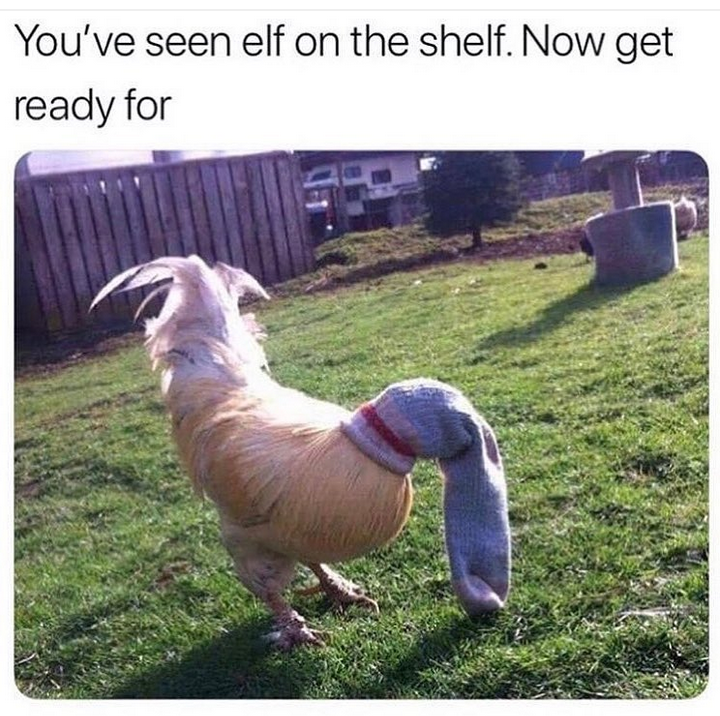 you've seen elf on the shelf, now get ready for cock in the sock