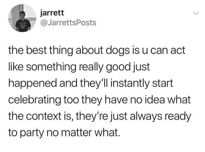 the best thing about dogs is you can act like something really good just happened and they'll instantly start celebrating too, they have no idea what the context is, they're just always ready to party no matter what