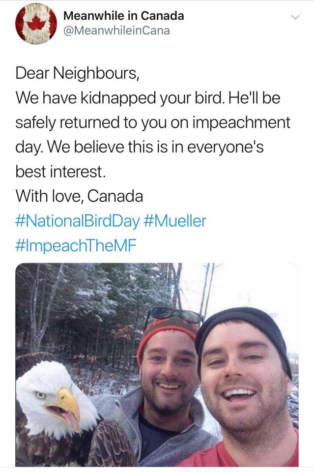 dear neighbors, we have kidnapped your bird, he'll be safely returned to you on impeachment day, we believe this is in everyone's best interest, with love, canada, #mueller, #nationalbirdday