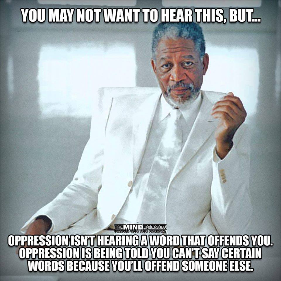 oppression isn't hearing a word that offends you, oppression is being told you can't say certain words because you'll offend someone else