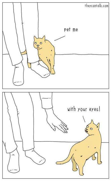 pet me with your eyes, comic