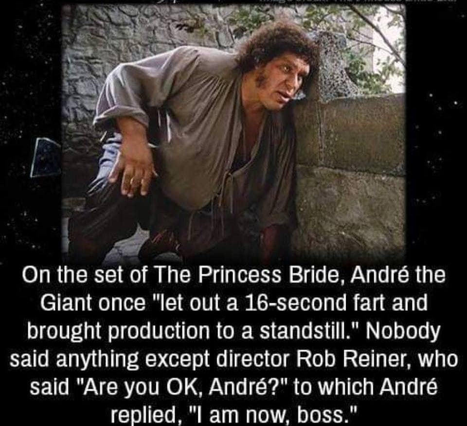 on the set of the princess bridge, andre the giant once let out a 16 second fart and brought production to a standstill, nobody said anything except director rob reiner, who said, are you okay andre?, i am now boss
