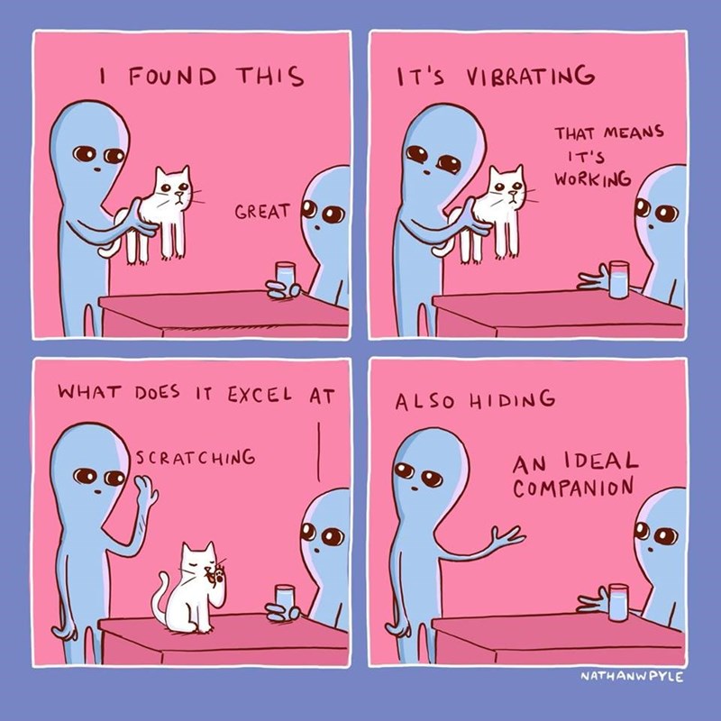 i found this, great, it's vibrating, that means it's working, what does it excel at?, scratching, also hiding, an ideal companion, nathanwpyle