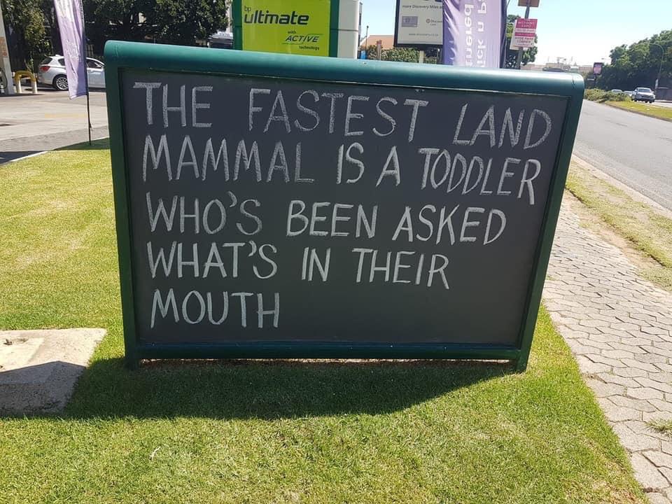 the fastest land mammal is a toddler who's been asked what's in their mouth