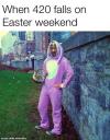 when 420 falls on easter weekend, snow dogg in a bunny costume