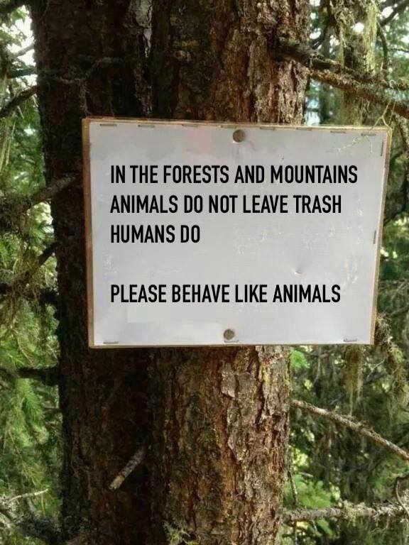 in the forest and mountains, animals do not leave trash, humans do, please behave like animals