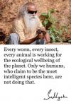 every worm, every insect, every animal is working for the ecological wellbeing of the planet, only we humans who claim to be the most intelligent species here are not doing that