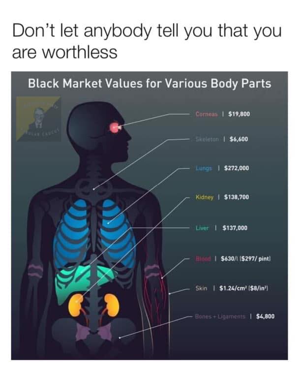 don't let anyone tell you you are worthless, average cost of various body parts
